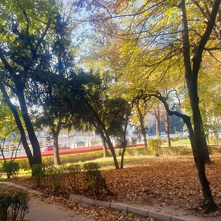 Daire Choice Hram Centar *